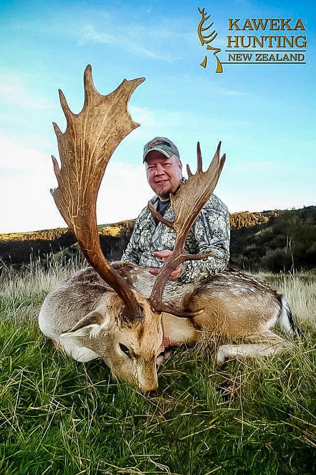 New Zealand Fallow Hunts