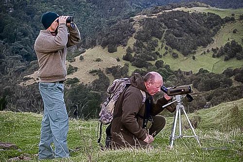 Hunting in the new zealand photo safaris in New Zealand