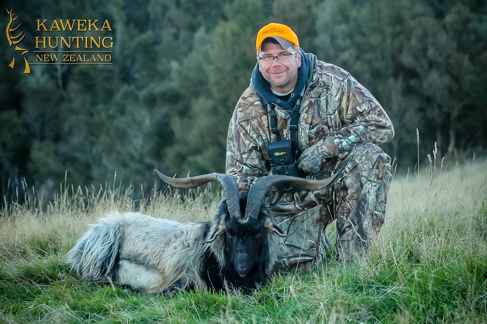 New Zealand Goat Hunting