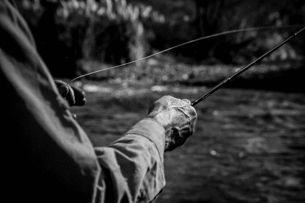 New Zealand Hunting