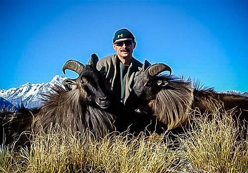 Tahr Hunts in New Zealand