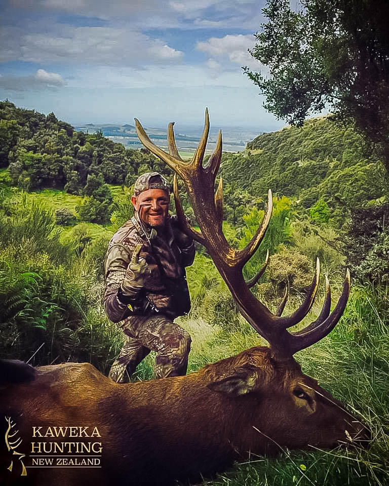 Elk Hunts in New Zealand