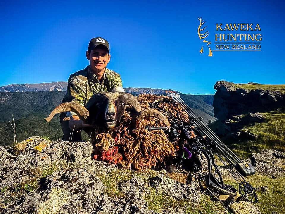 New Zealand Trophy Hunts