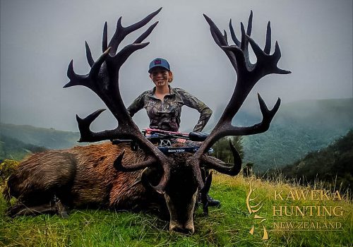Visit Concho Exotic Outfitters