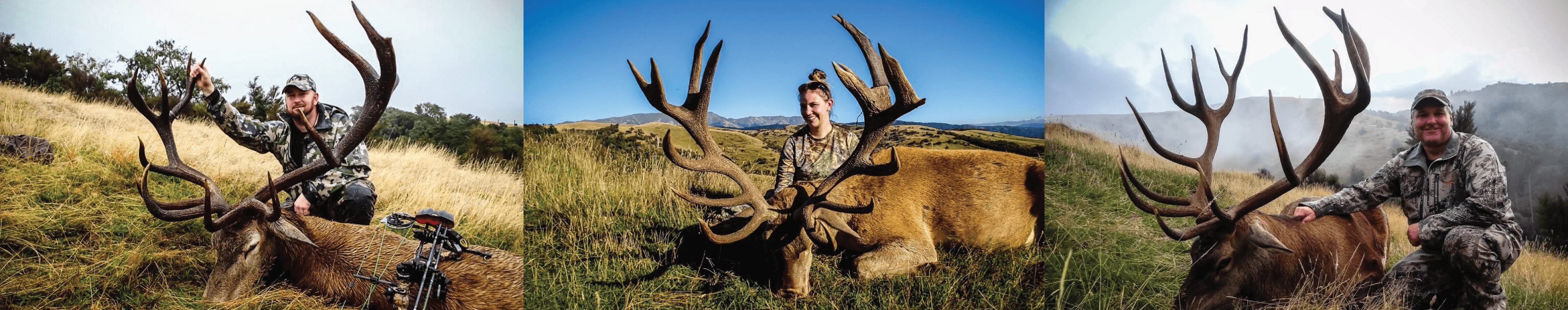 Affordable Red Stag Hunts