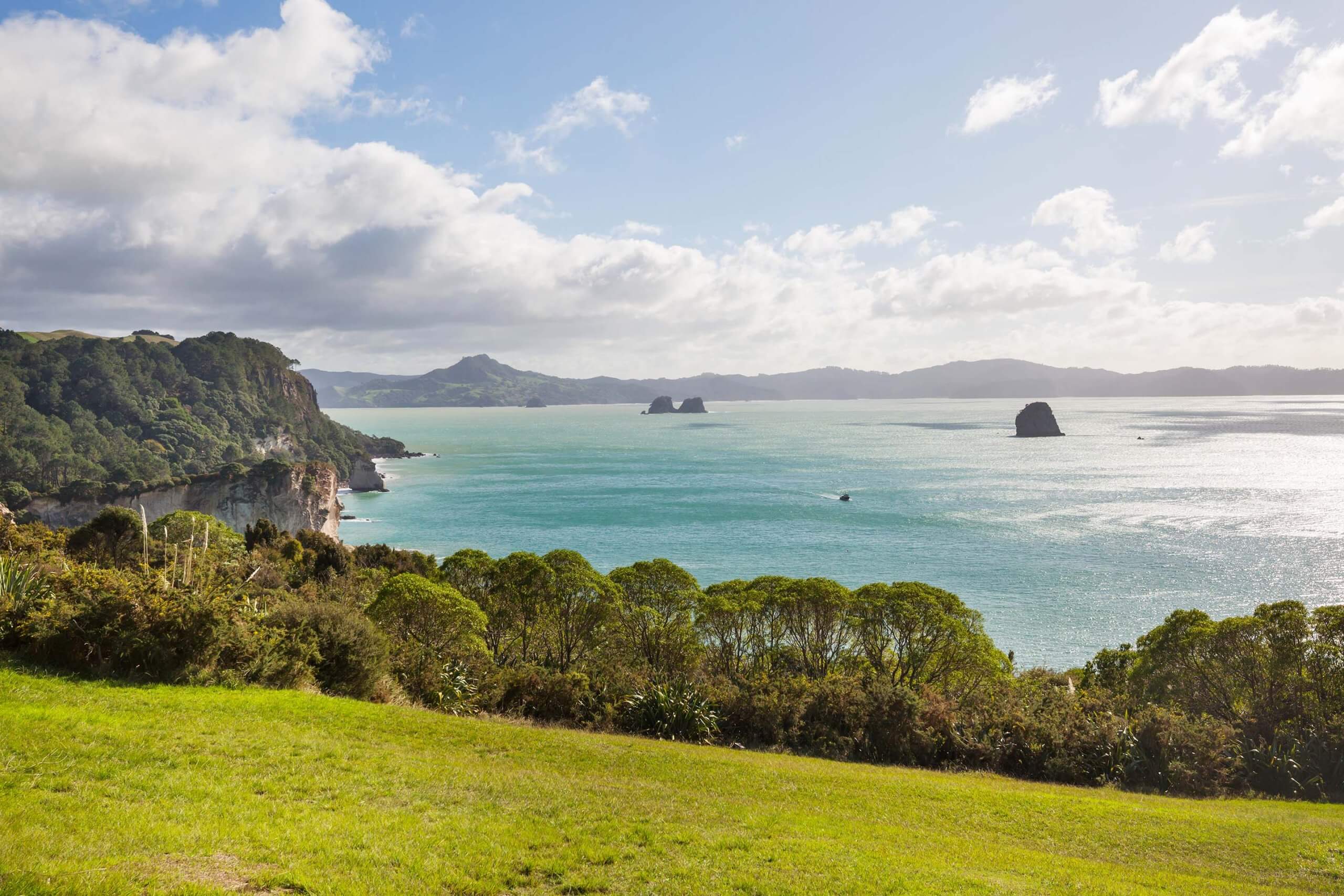 New Zealand Coast