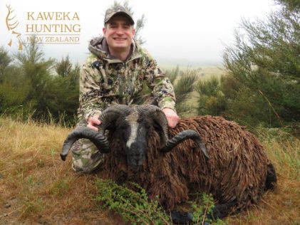 Trophy Hunt Ram New Zealand Kaweka 2020