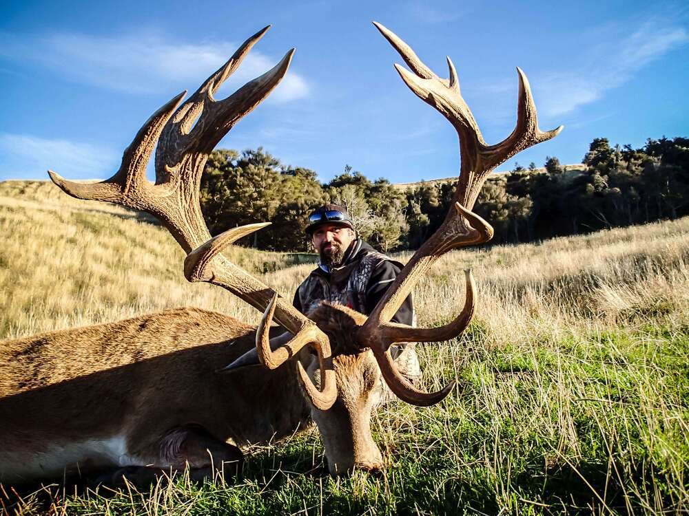 Kaweka Affordable Red Stag Trophy Hunts